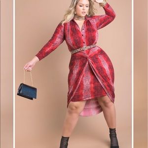 Collared Knotted Knee Length Dress